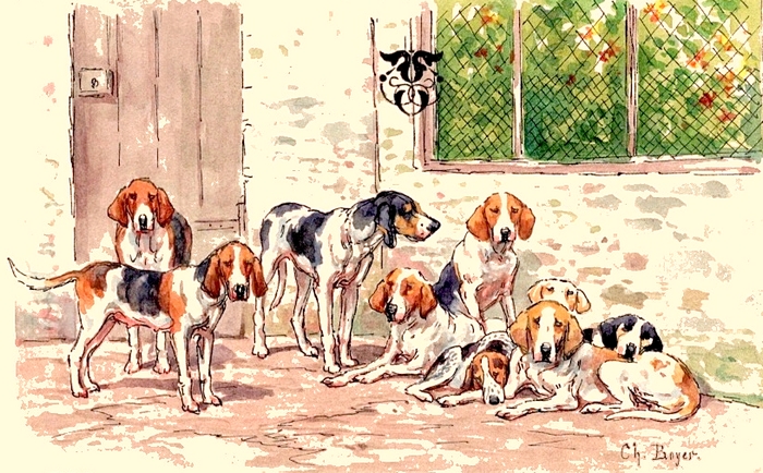 Illustration tirée de l'ouvrage Les Chiens courants français pour la chasse du lièvre (1866) - E. de Vézins - Forestié (Montauban) (21)